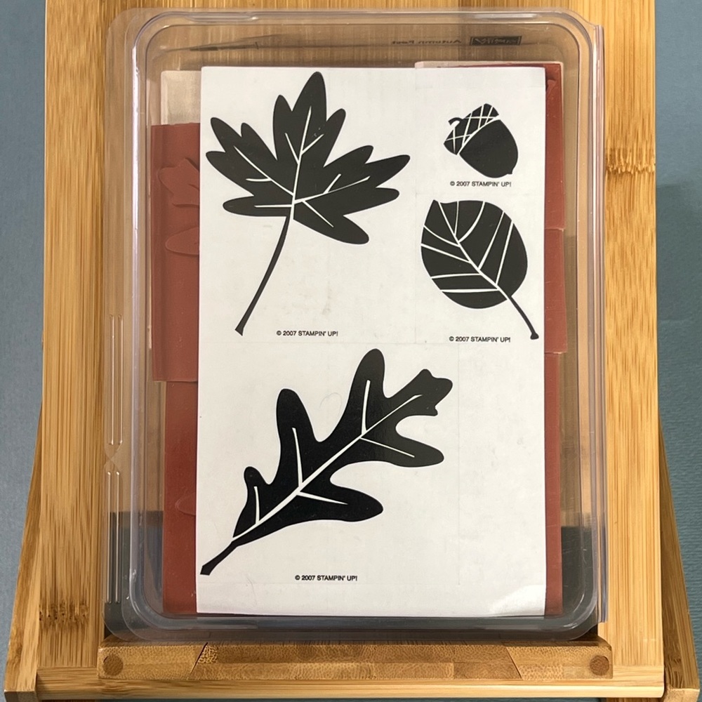 Stampin' Up! Autumn Fest - never used